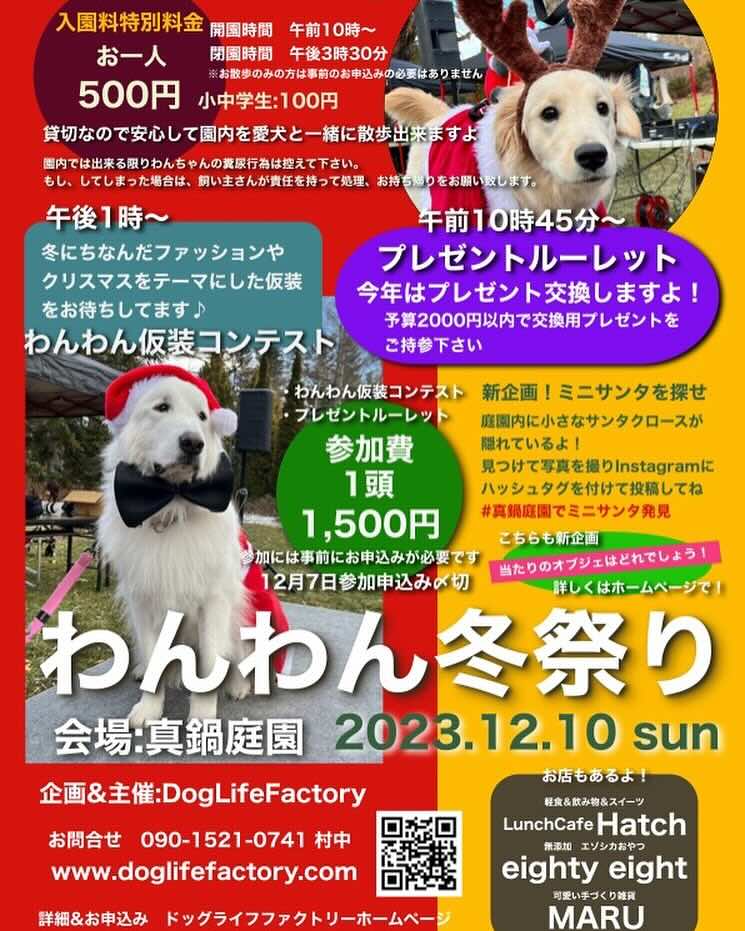 わんわん冬祭りの画像