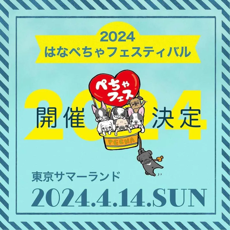 はなぺちゃフェスティバル 2024の画像