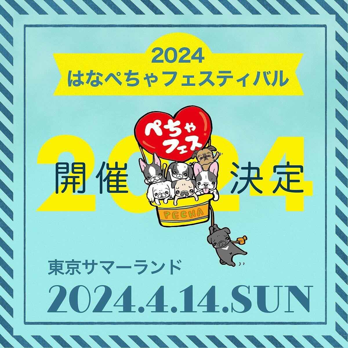 はなぺちゃフェスティバル 2024の画像