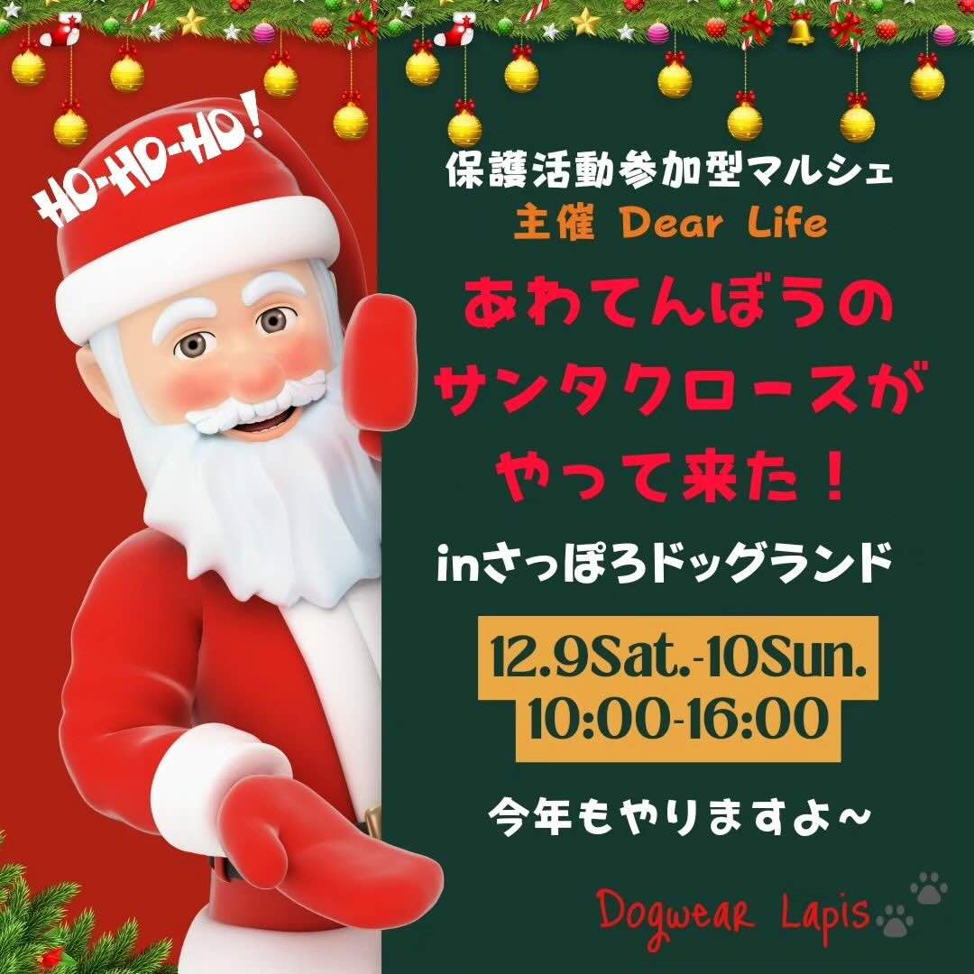 あわてんぼうのサンタクロースがやってきた!in さっぽろドッグランドの画像