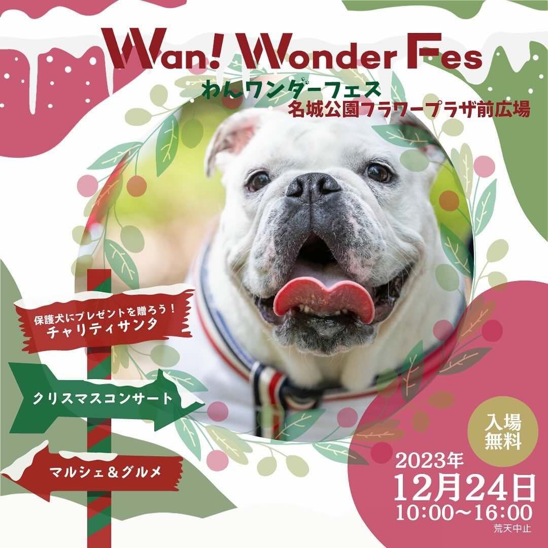わんワンダーフェス@名城公園の画像