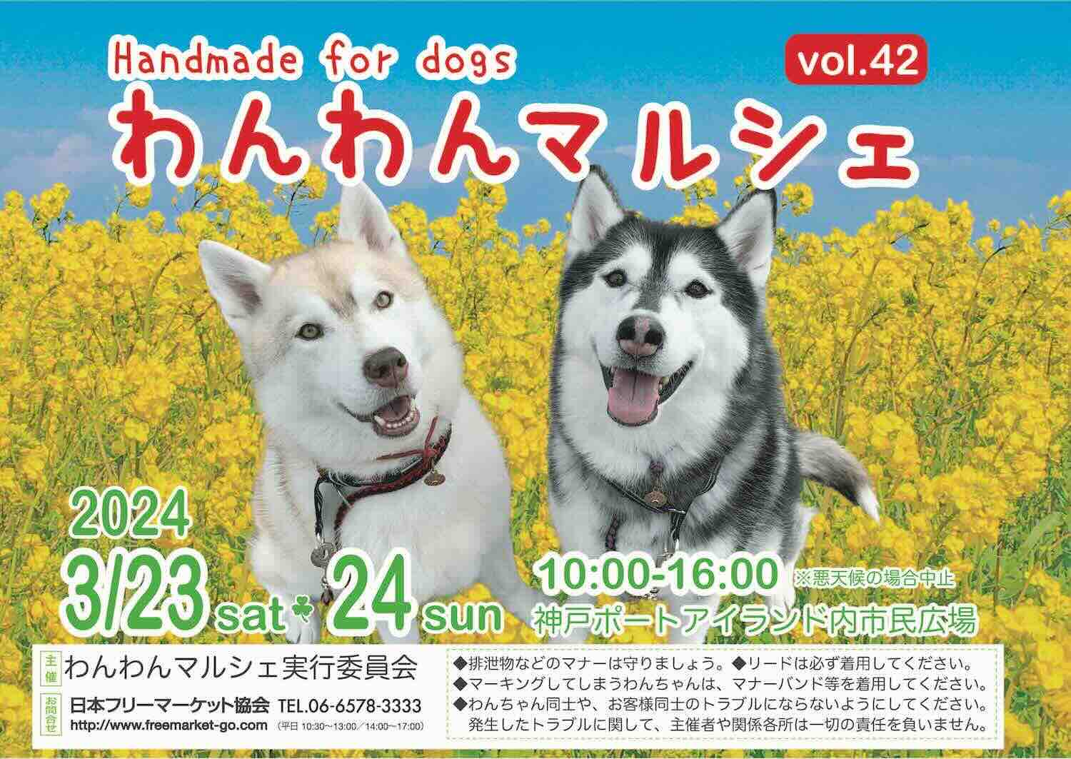 わんわんマルシェ vol.42の画像