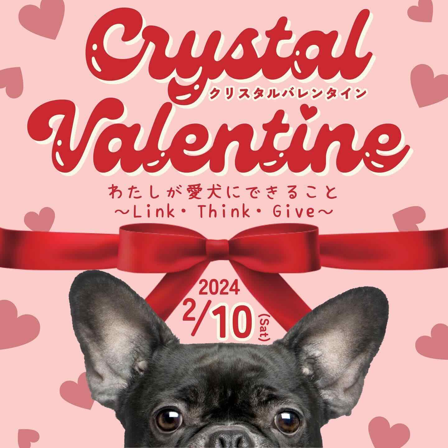 クリスタルバレンタインの画像