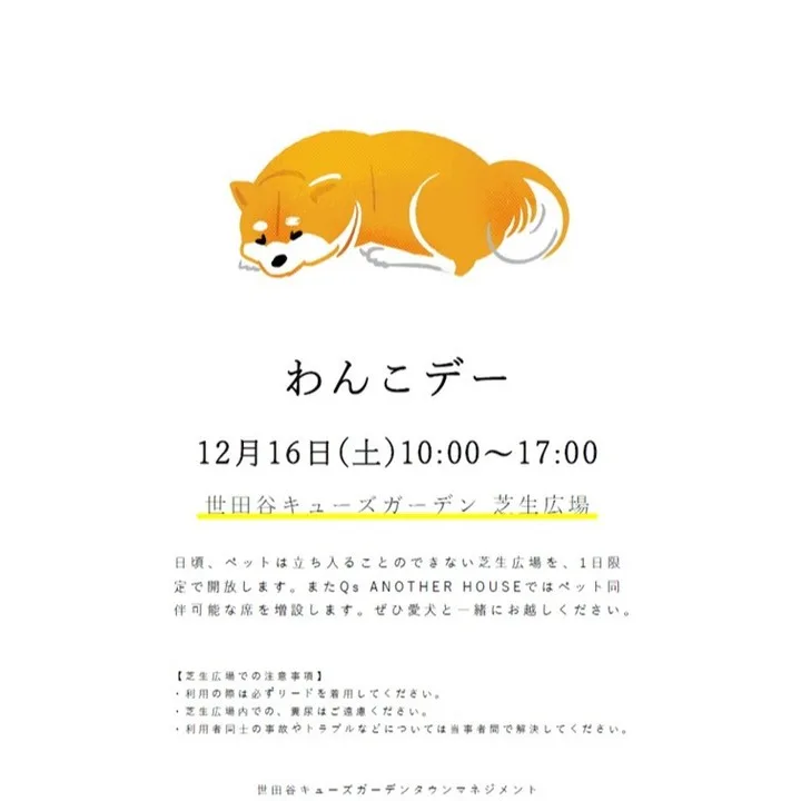 わんこデーの画像