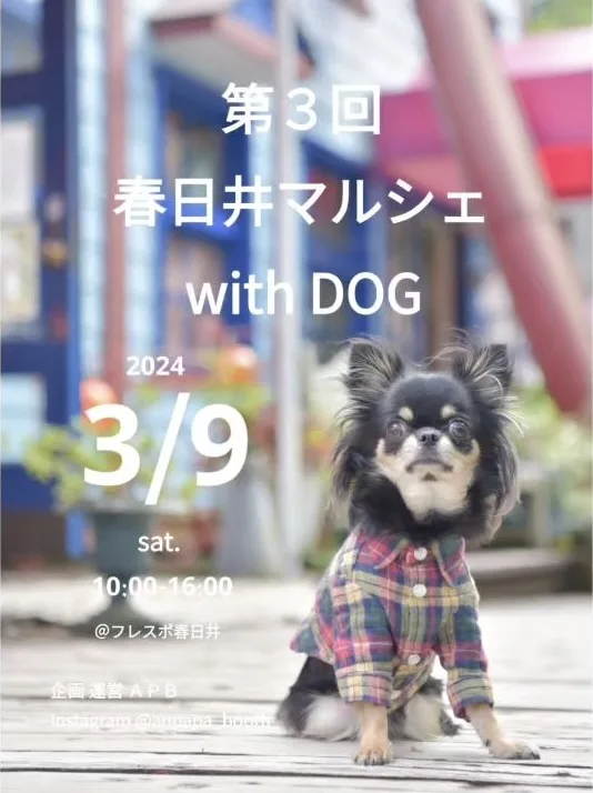 第3回 春日井わんわんマルシェ with DOGの画像