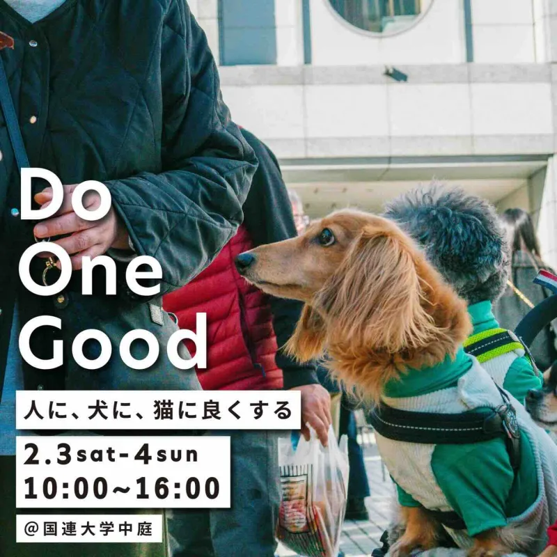 DoOneGood -人に、犬に、猫に良くする- vol.12の画像