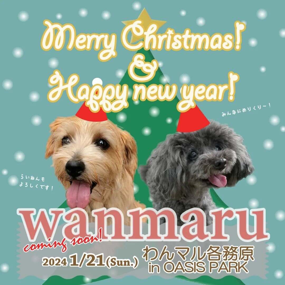 第38回 わんマル各務原 in OASIS PARKの画像