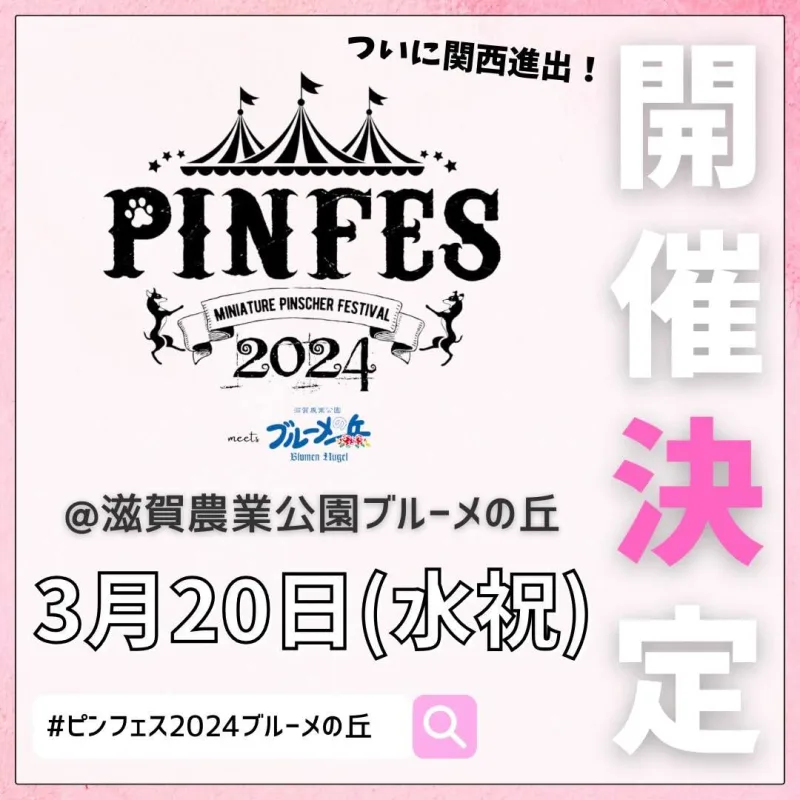 ピンフェス2024 meets 滋賀農業公園ブルーメの丘の画像