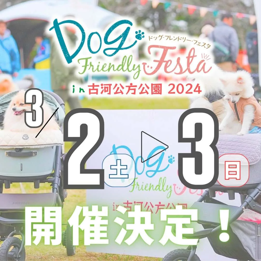 ドッグフレンドリーフェスタ in 古河公方公園2024の画像