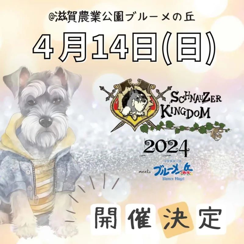 シュナウザーキングダム2024 meets 滋賀農業公園ブルーメの丘の画像