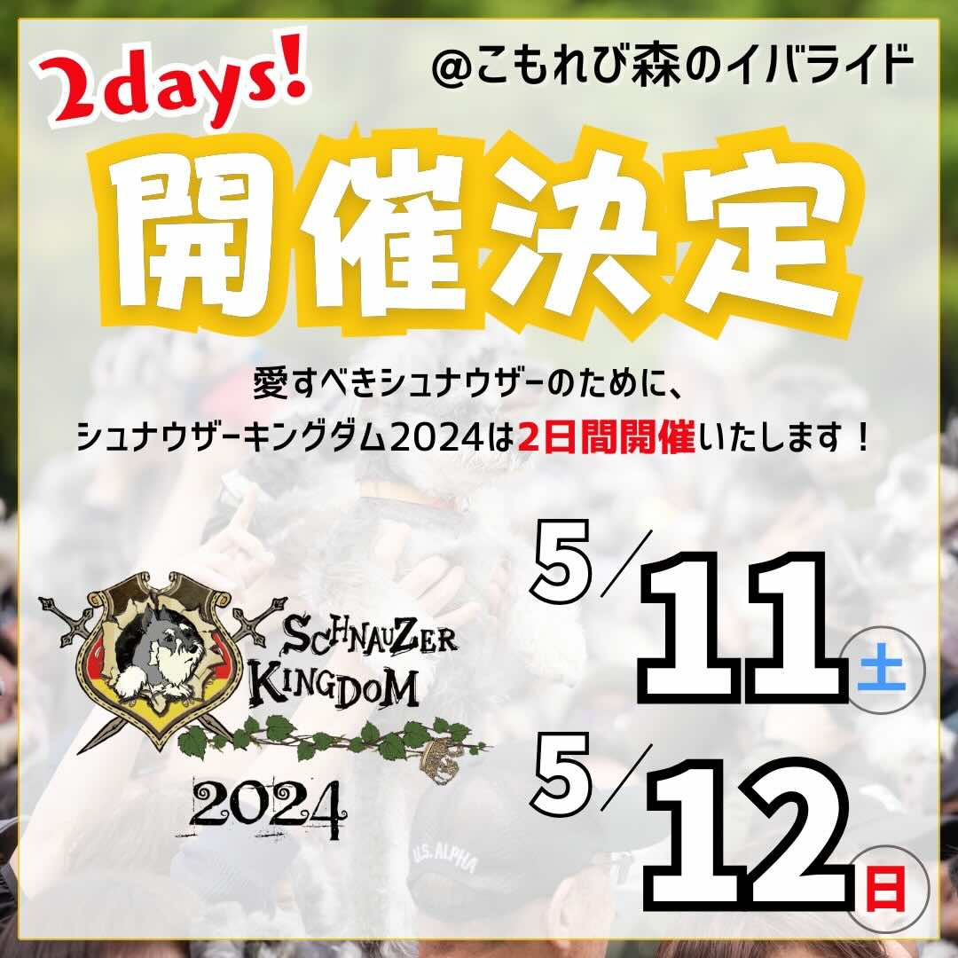 シュナウザーキングダム2024の画像