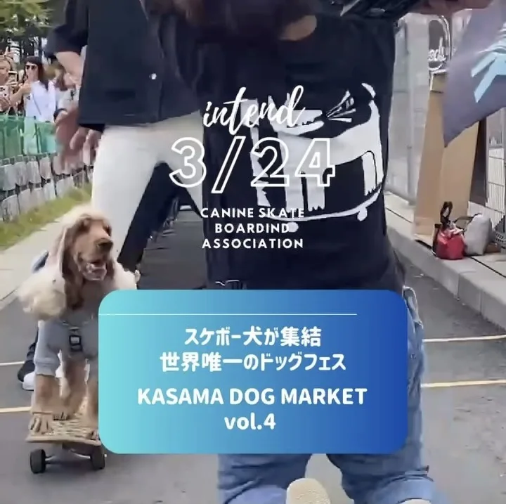 KASAMA DOG MARKET vol.4の画像