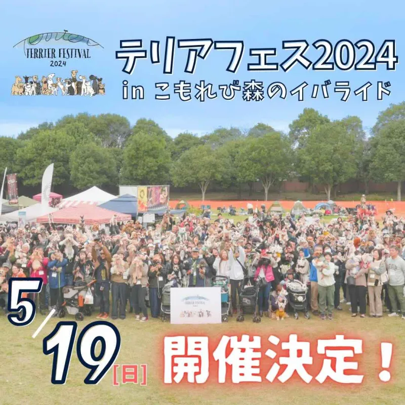 テリアフェスティバル2024の画像