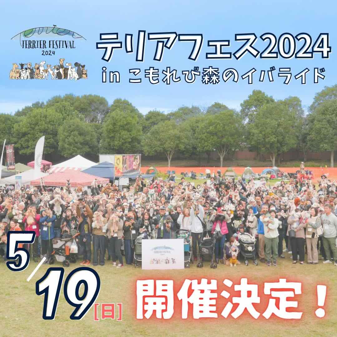 テリアフェスティバル2024の画像