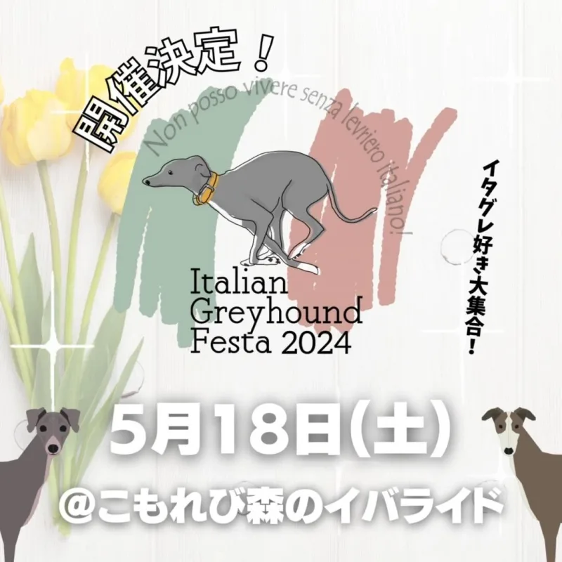 イタグレフェスタ2024の画像