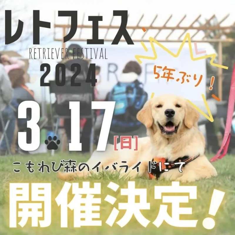 レトフェス2024の画像