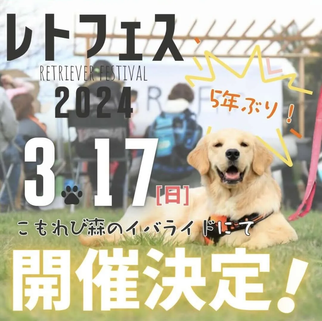 レトフェス2024の画像