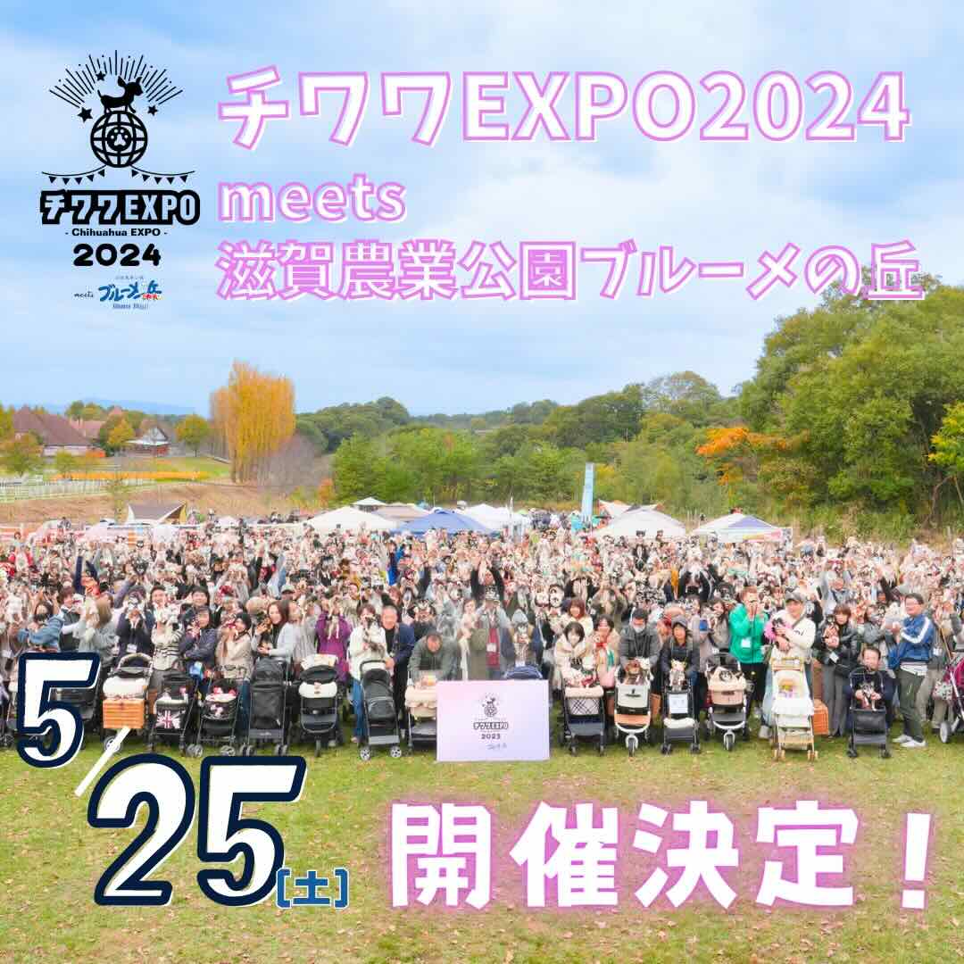 チワワEXPO 2024 meets 滋賀農業公園ブルーメの丘の画像