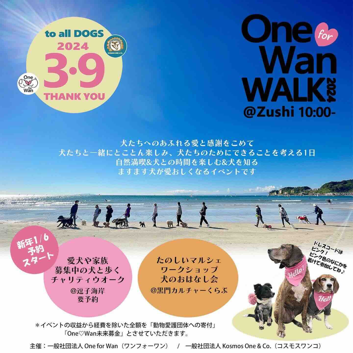 One For Wan WALK 2024の画像