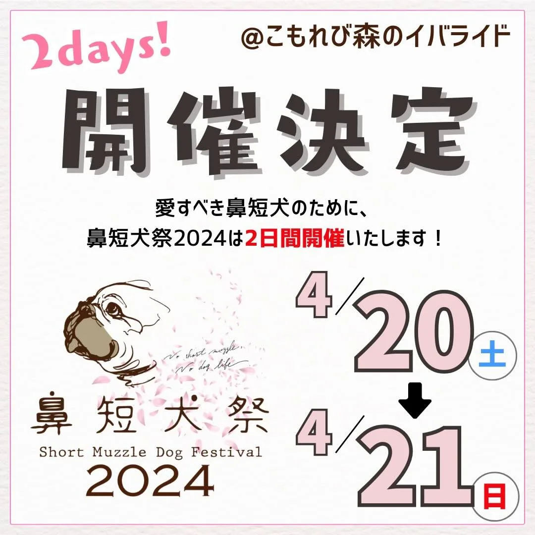 鼻短犬祭2024の画像