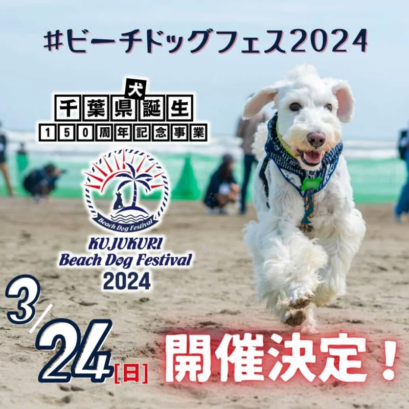 九十九里ビーチドッグフェスティバル2024の画像