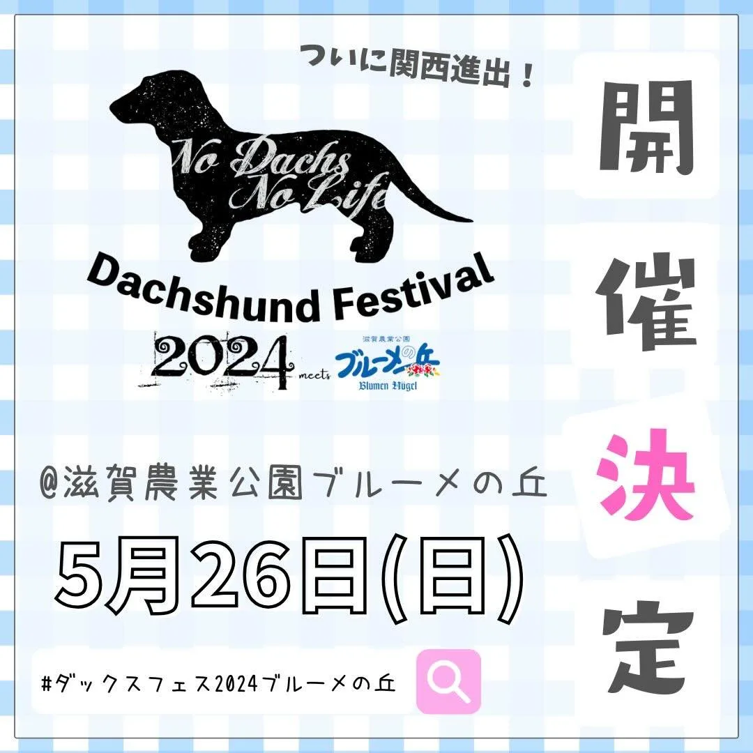 ダックスフントフェス2024 meets 滋賀農業公園ブルーメの丘の画像