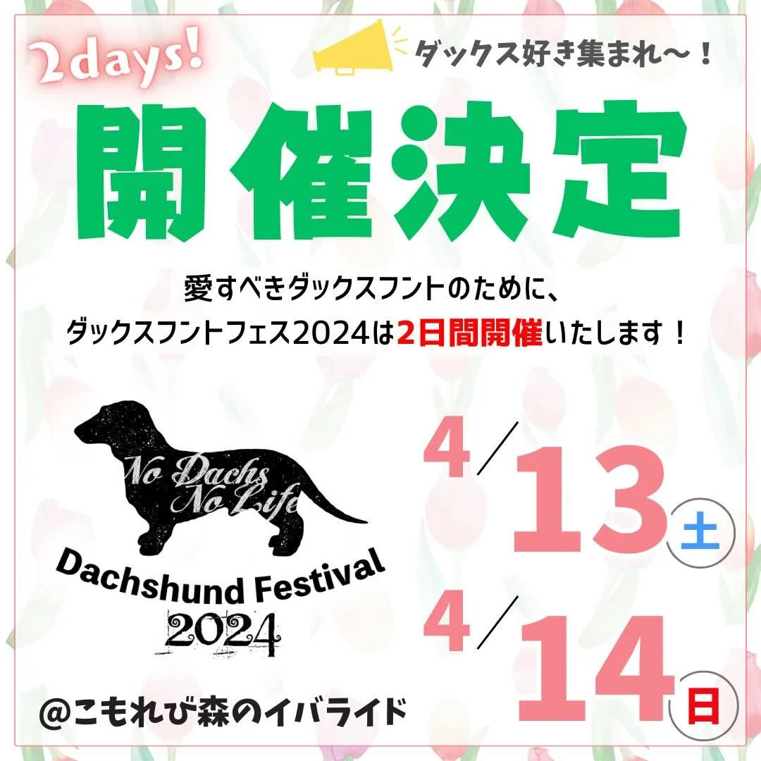 ダックスフントフェス2024 の画像