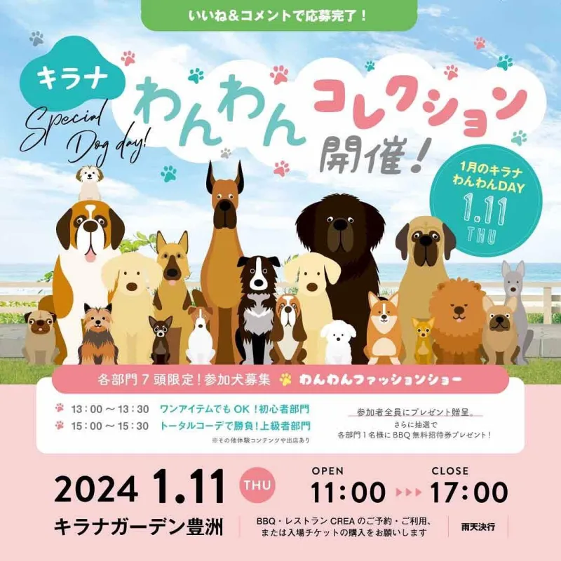 キラナわんわんコレクションの画像