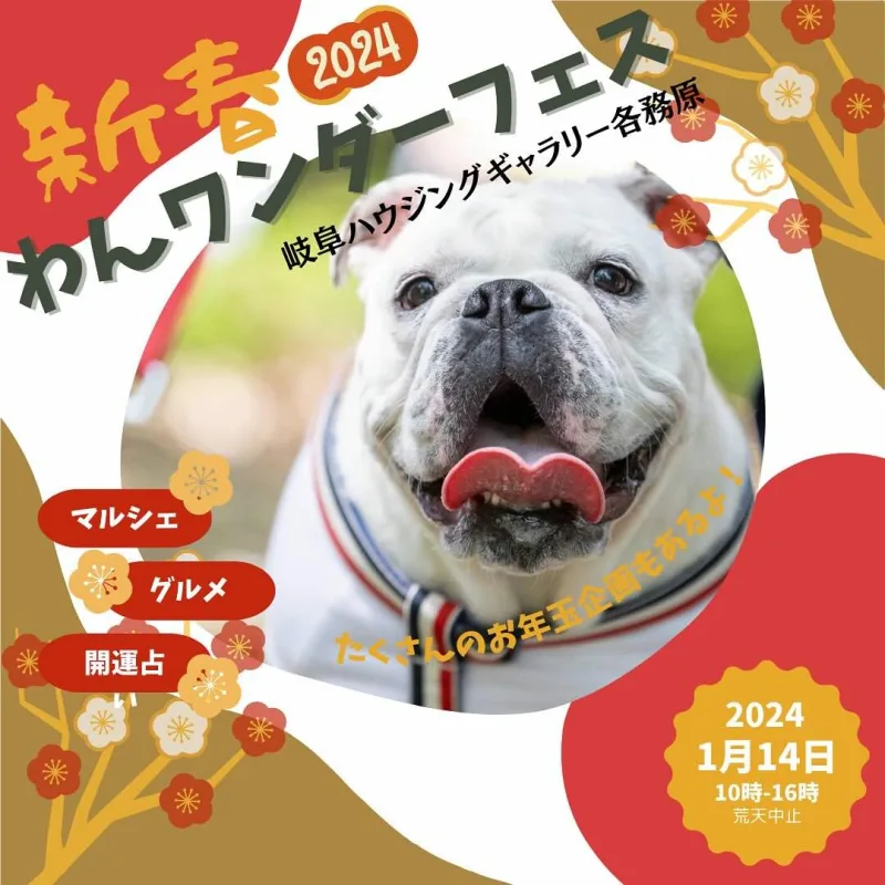 わんワンダーフェス 岐阜ハウジングギャラリー各務原の画像