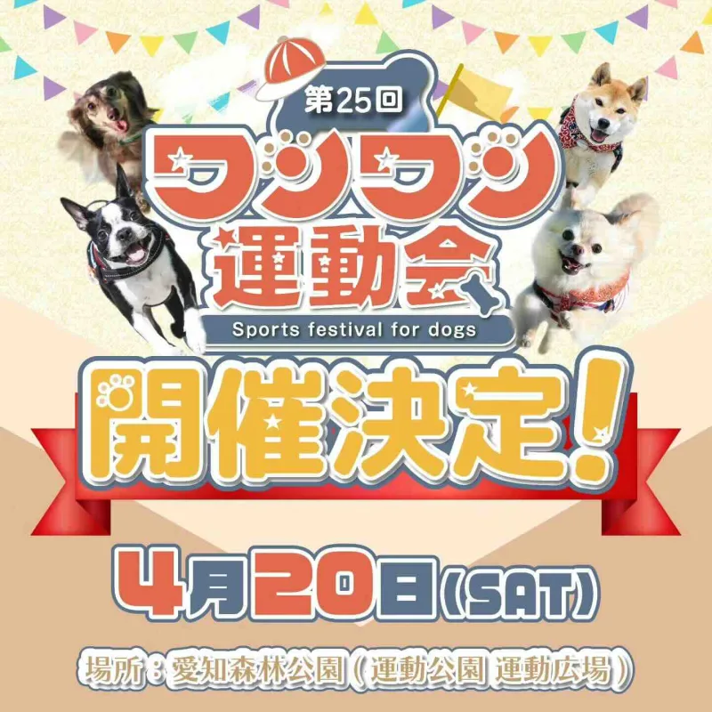 第25回 ワンワン運動会 in 愛知の画像