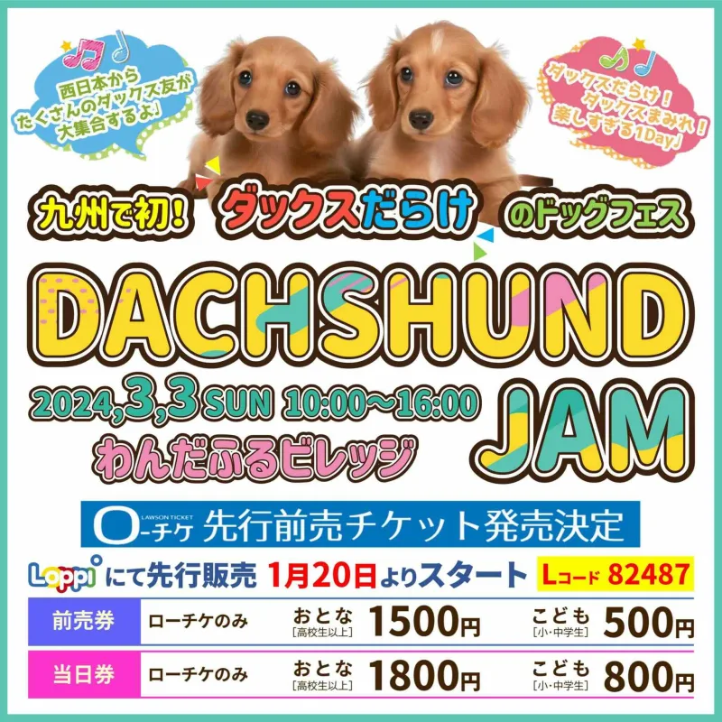 ACHSHUND JAM（ダックスフンドジャム）の画像