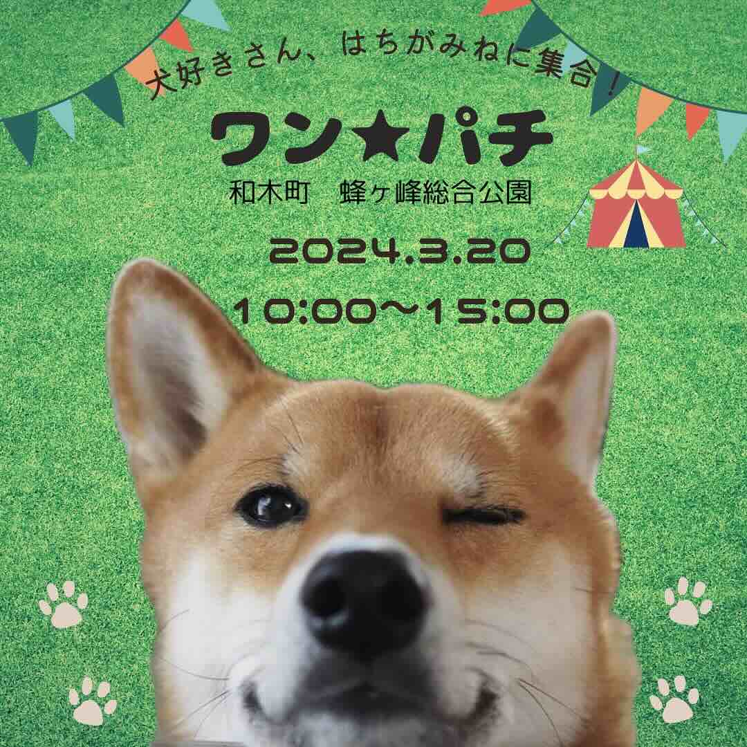 ワン★パチの画像