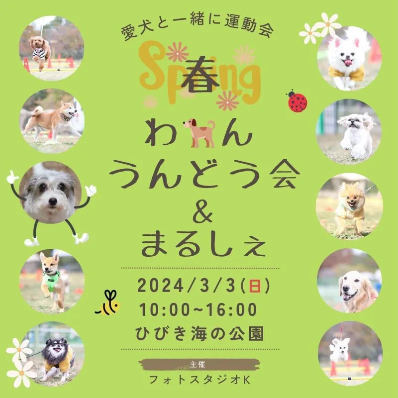 春のわん運動会&マルシェの画像