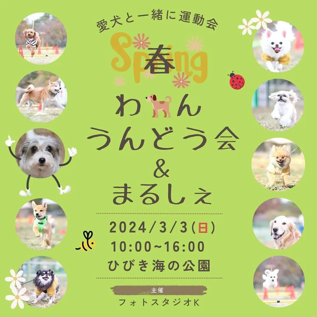 春のわん運動会&マルシェの画像