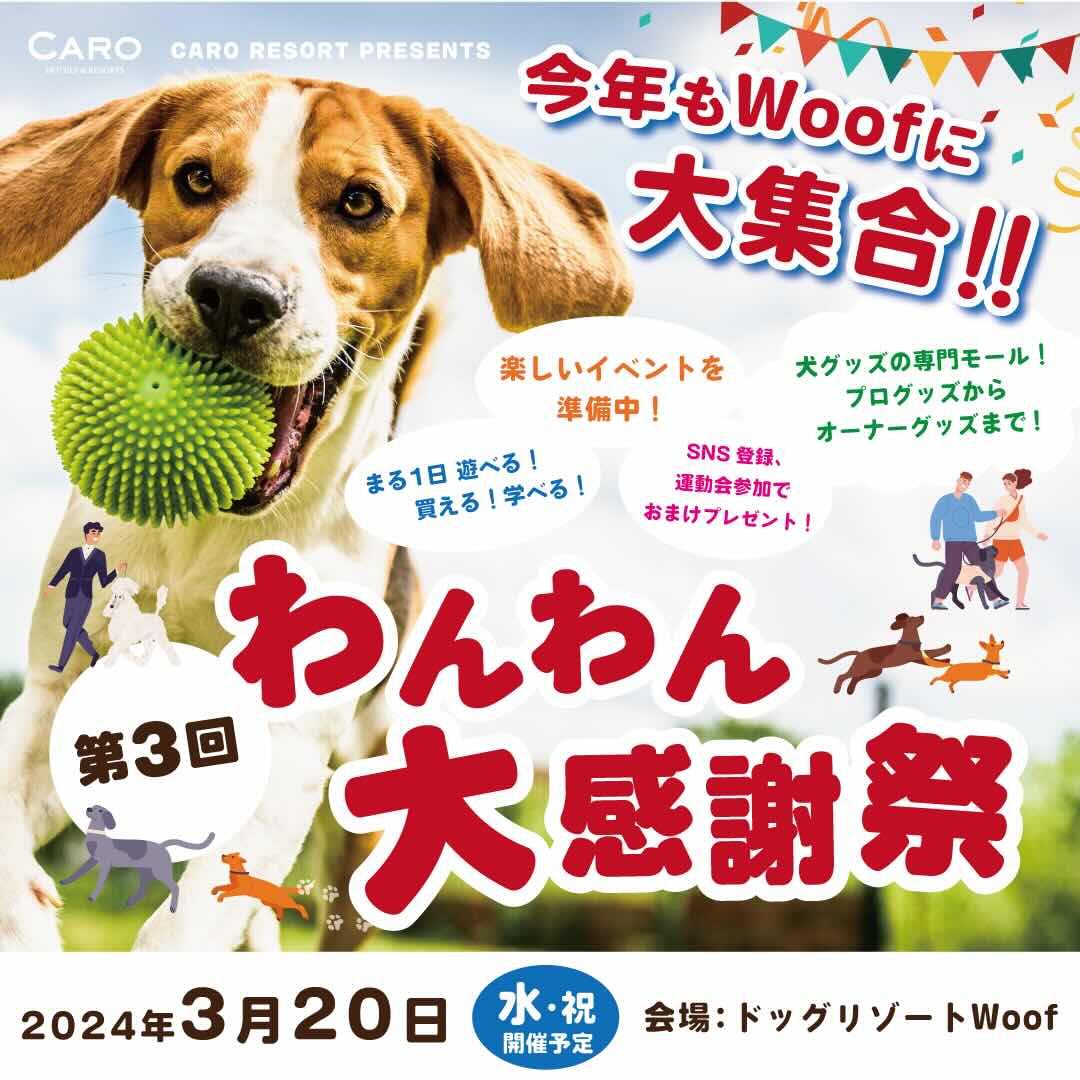 第3回 わんわん大感謝祭の画像