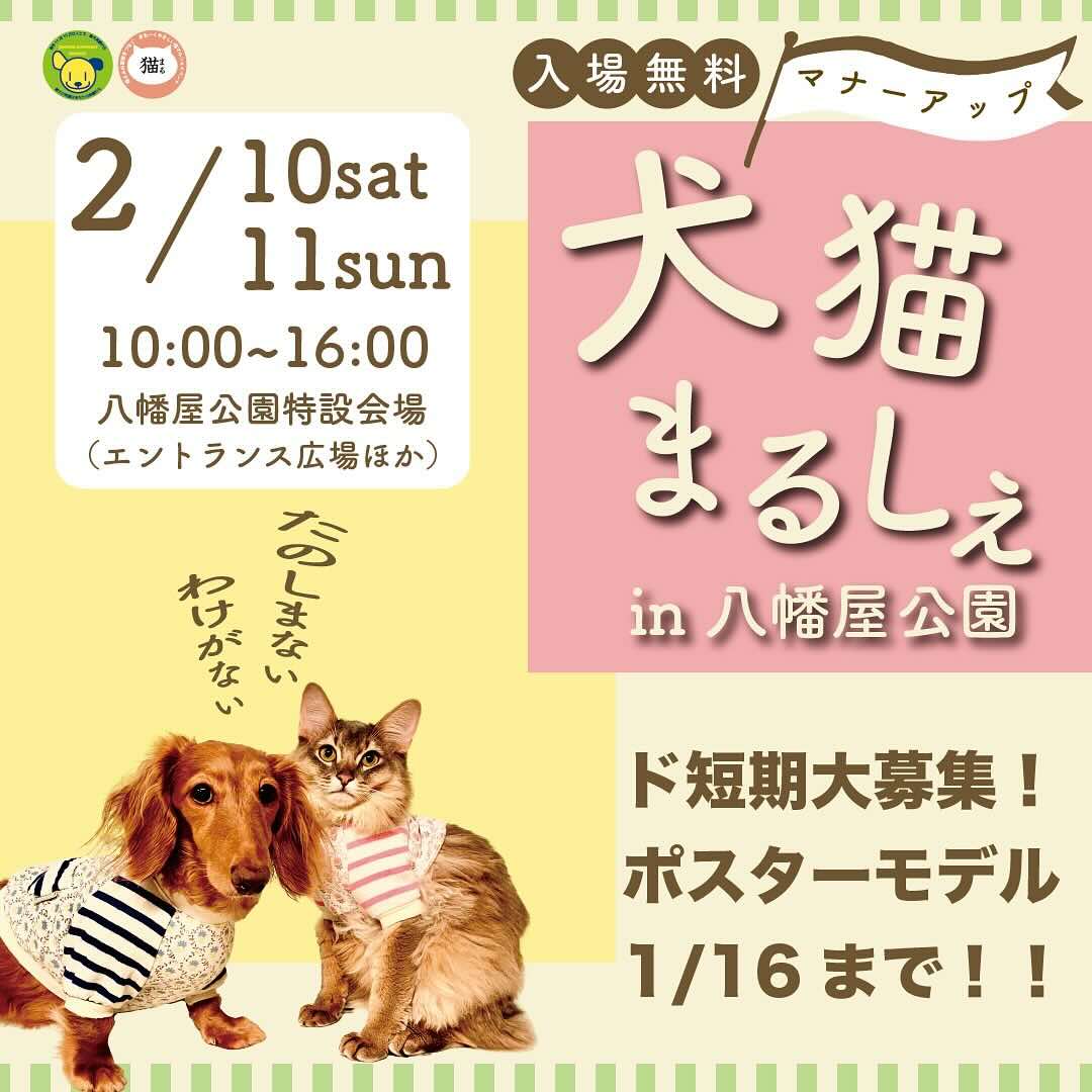 犬猫マナーアップまるしぇin 八幡屋公園の画像