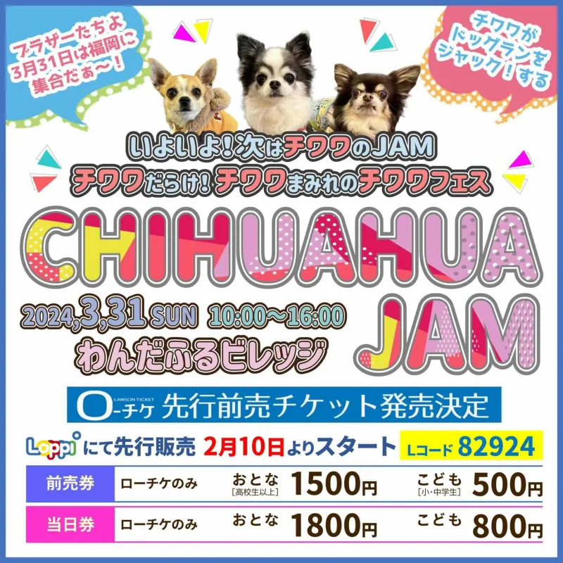 CHIHUAHUA JAM （チワワジャム）の画像