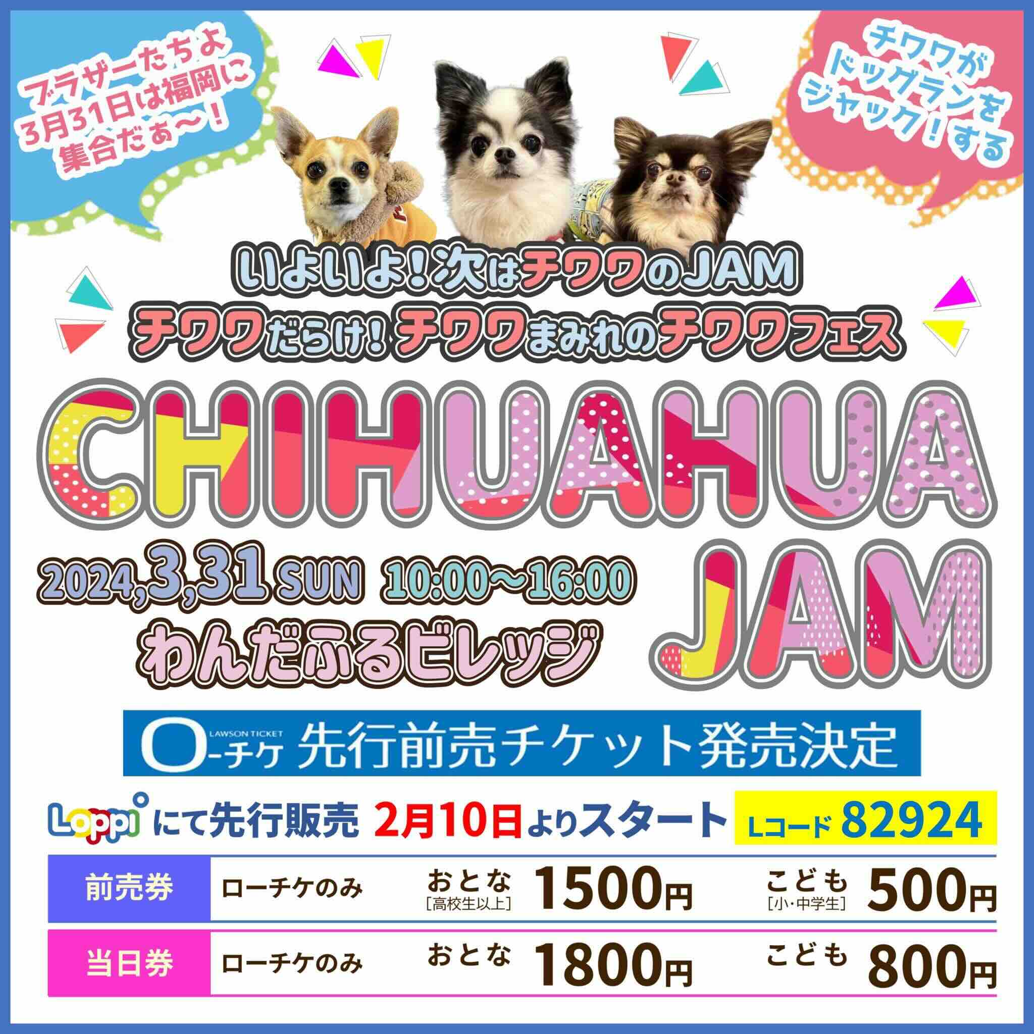 CHIHUAHUA JAM （チワワジャム）の画像