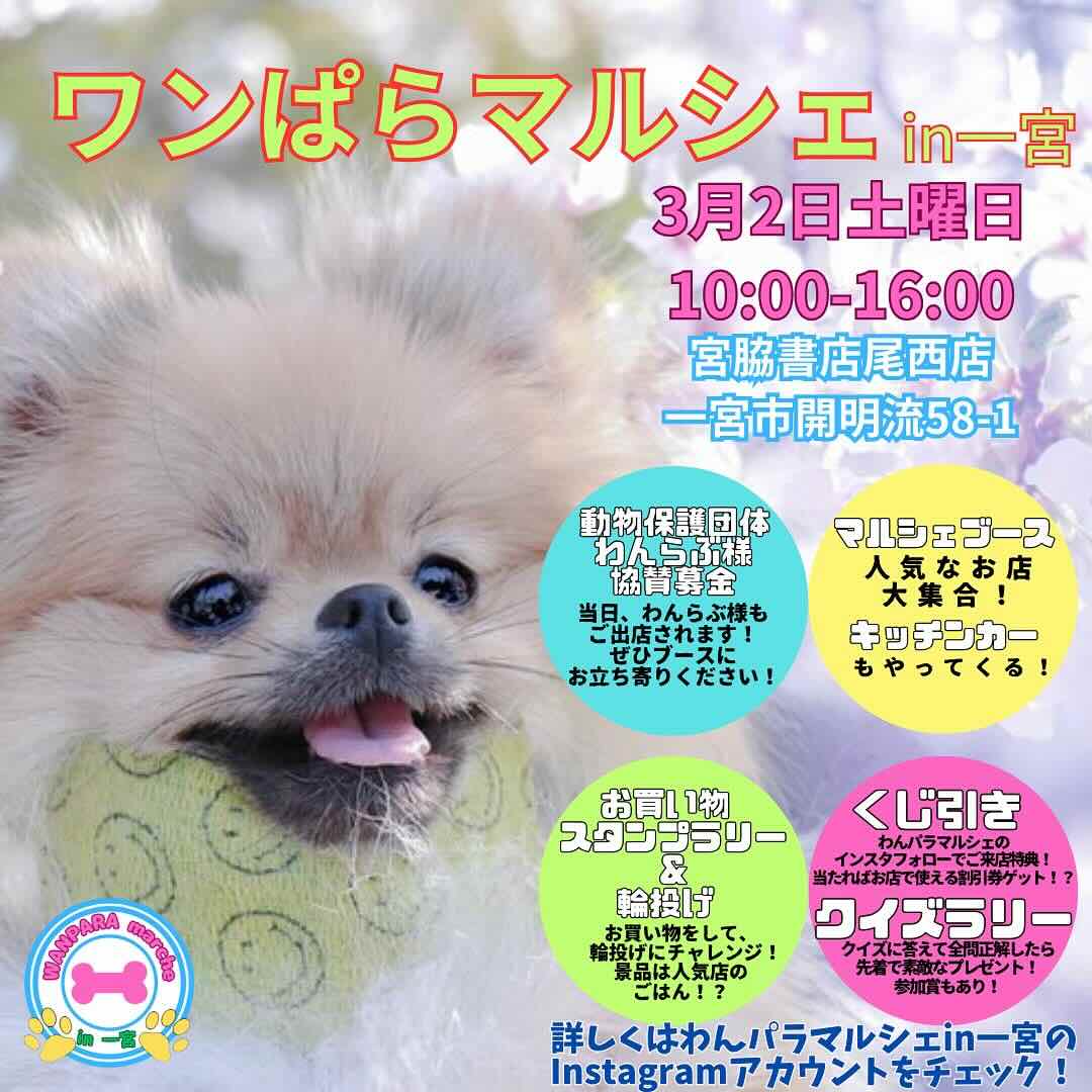 ワンぱらマルシェ in 一宮の画像