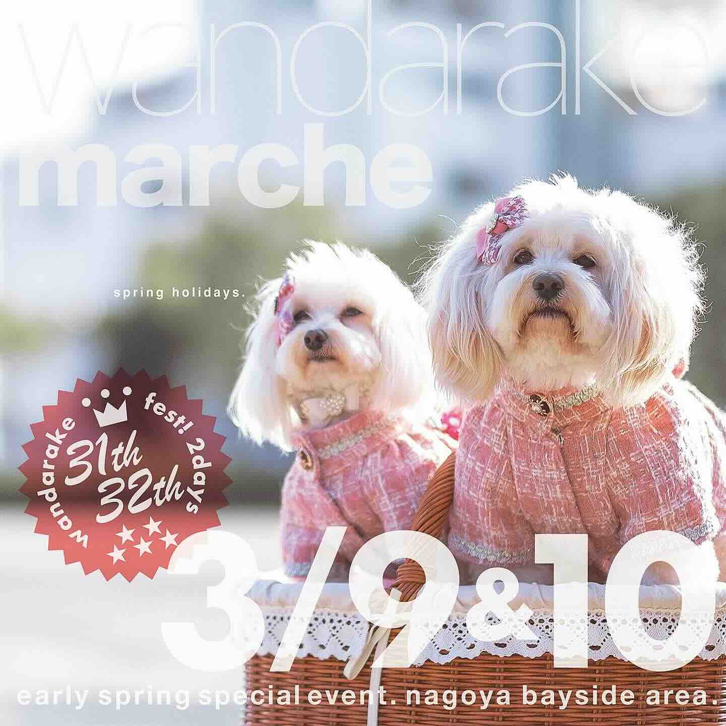 愛知県名古屋市】2024年3月9日（土）、10日（日）日本最大わんこ
