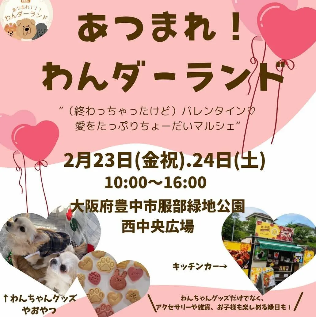 あつまれ!わんダーランドの画像