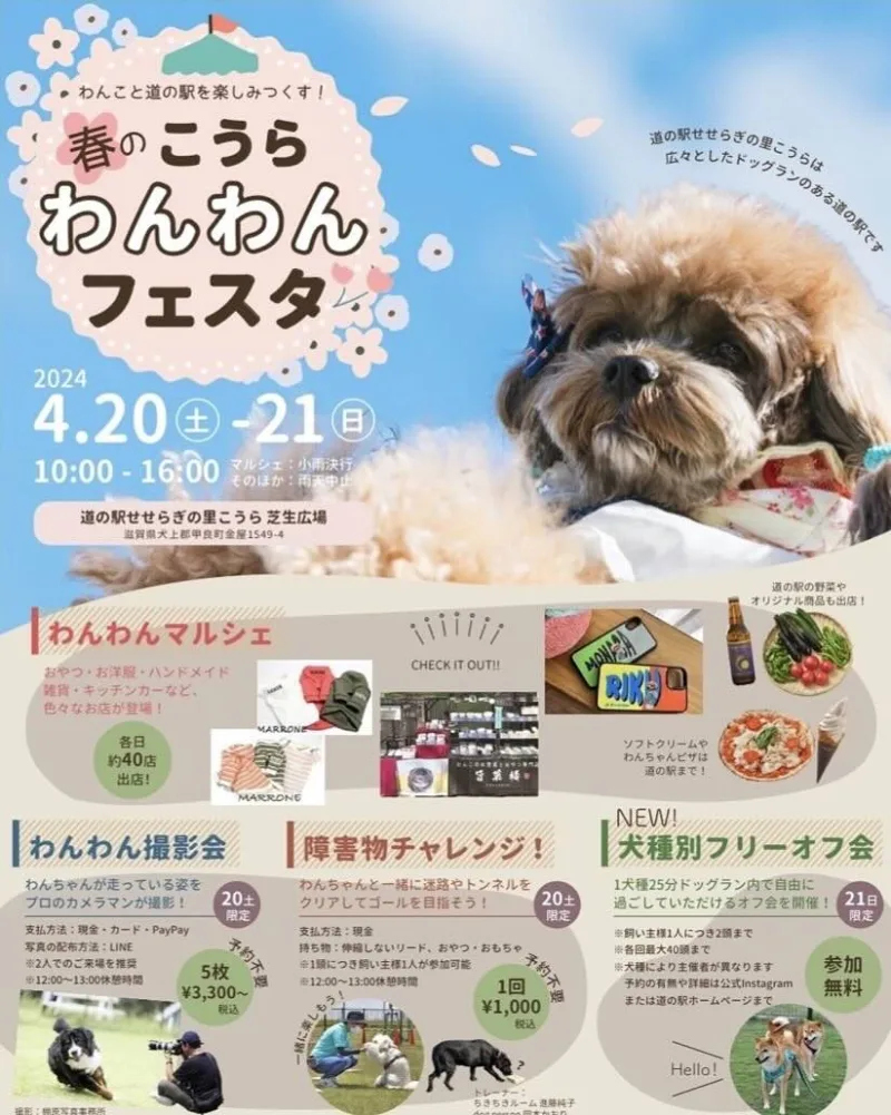 第2回 道の駅こうらわんわんフェスタの画像