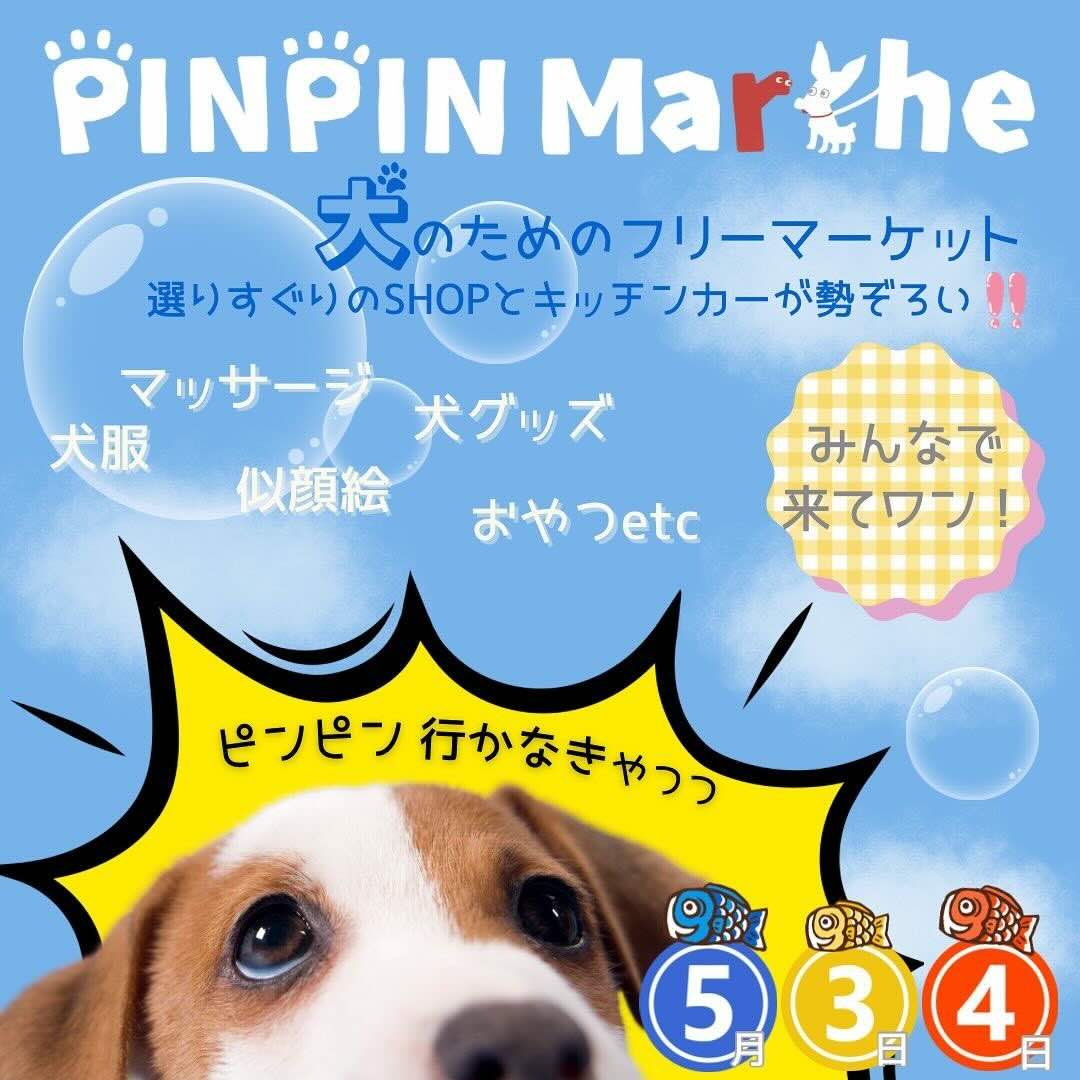 PINPIN Marcheの画像