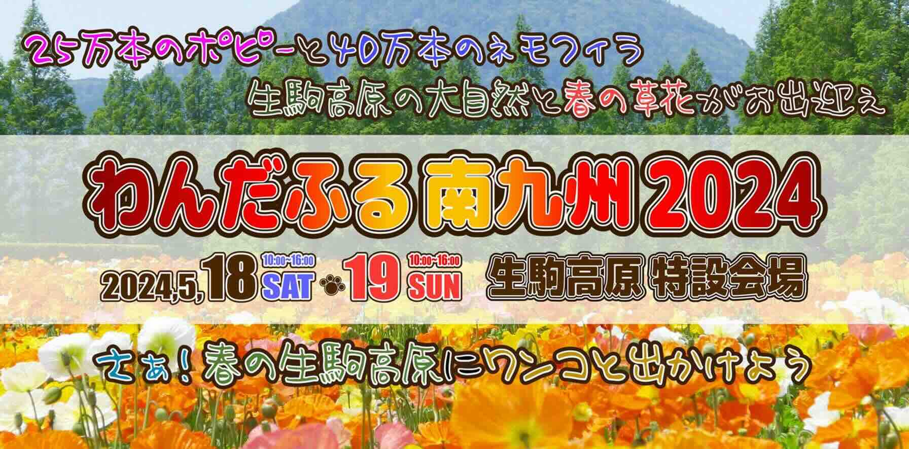 わんだふる南九州 2024の画像