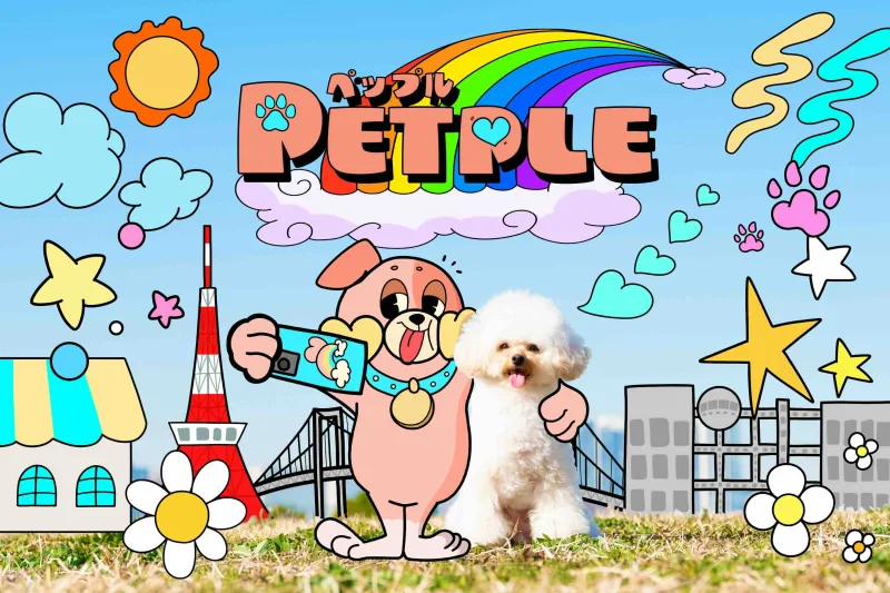 PETPLE(ペップル)の画像