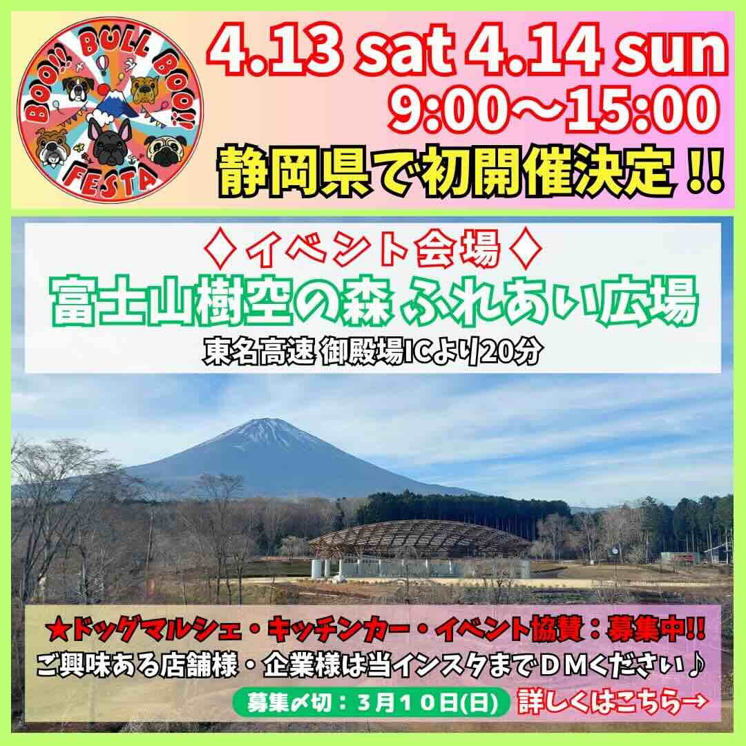 BOO!! BULL BOO!! FESTAの画像