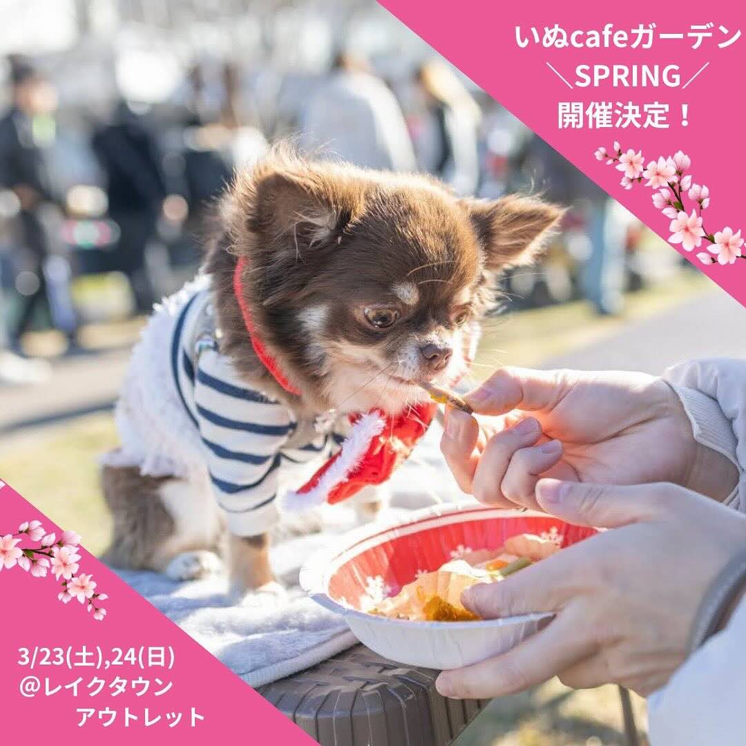 いぬ cafe ガーデン SPRINGの画像