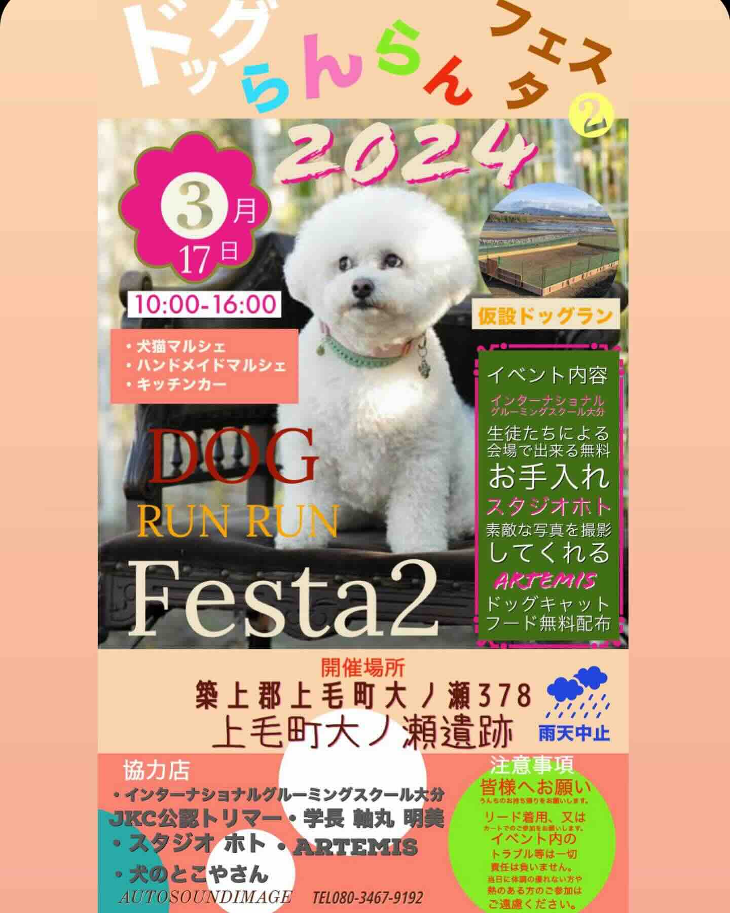 ドッグらんらんフェスタ2の画像