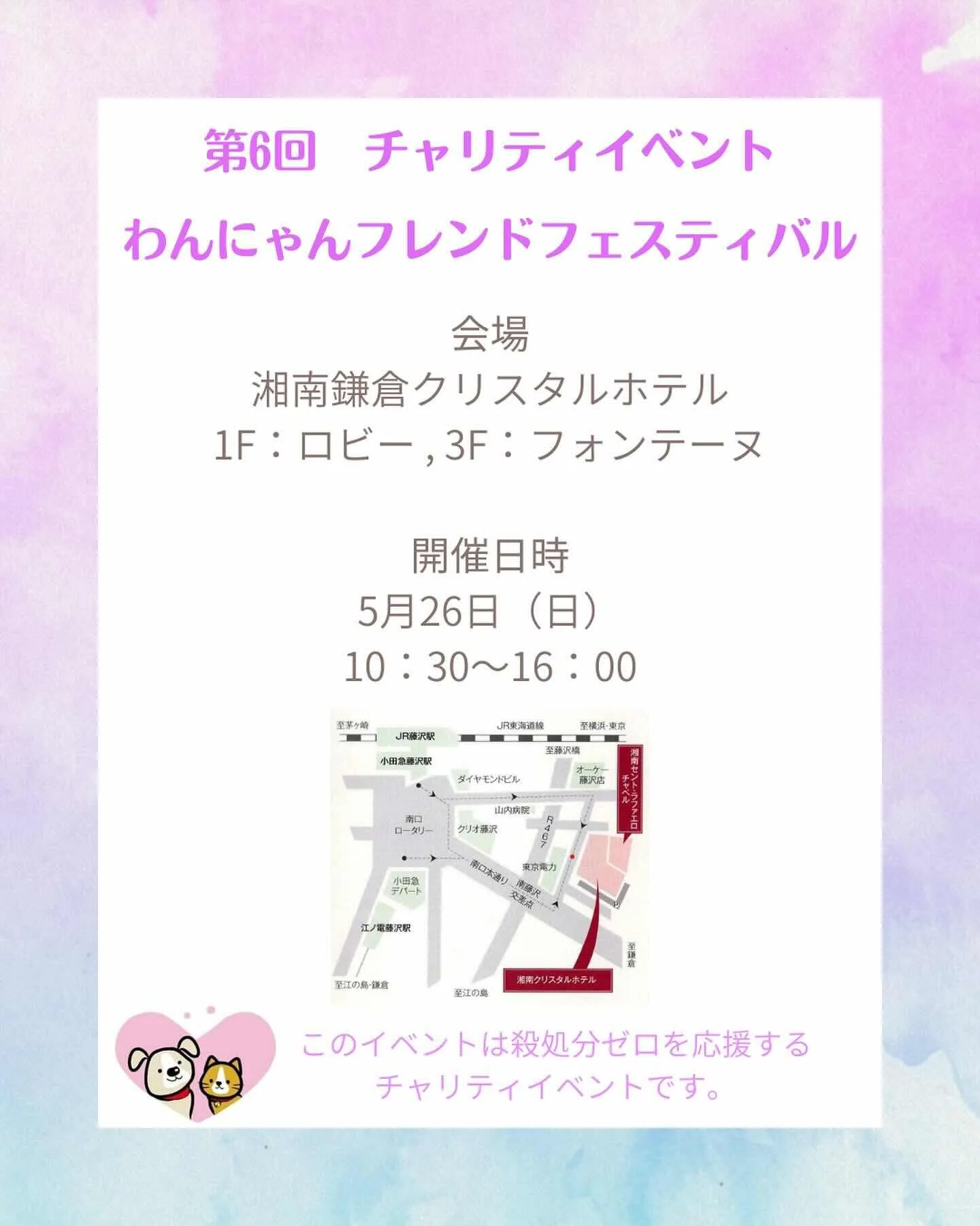 第6回 わんにゃんフレンドフェスティバルの画像