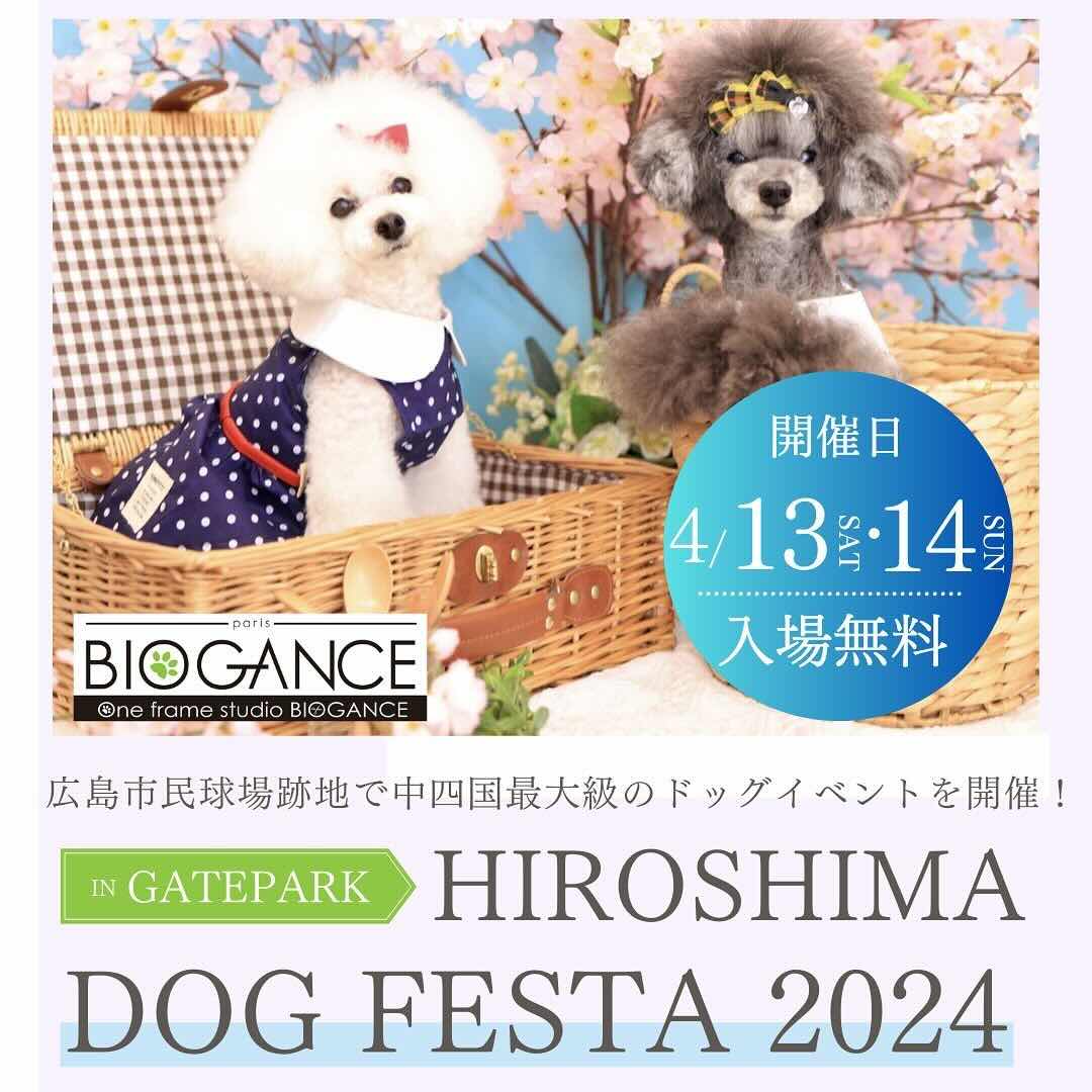 HIROSHIMA DOG FESTA 2024の画像
